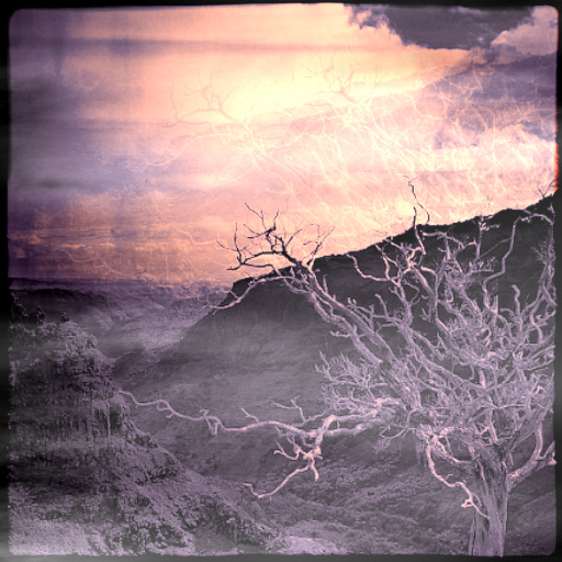 Variation 3