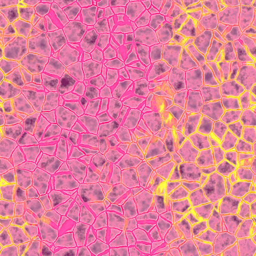 Variation 7