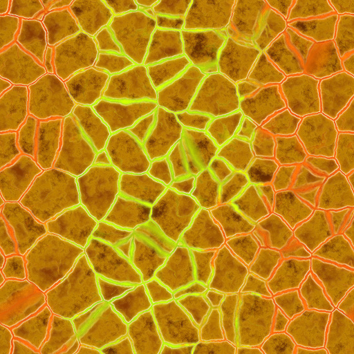 Variation 8