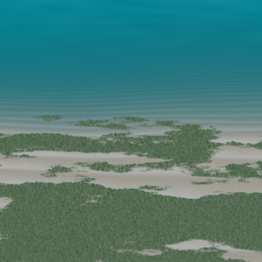 Variation 7