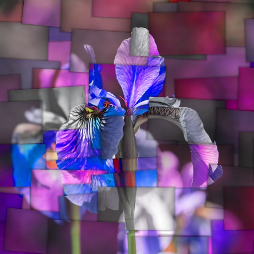 Variation 6
