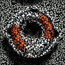 Circle/Diamond Packing