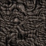 Alien Armour and Skin