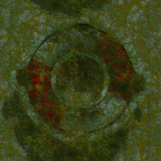 Variation 8