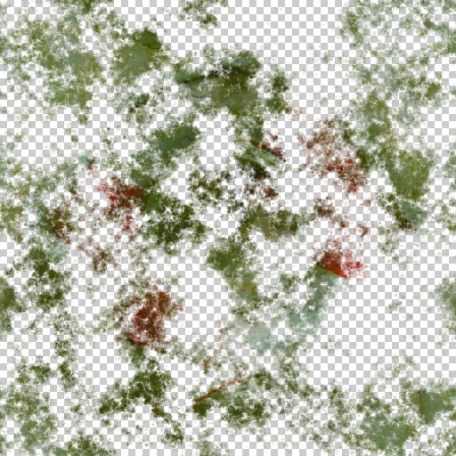 Variation 4