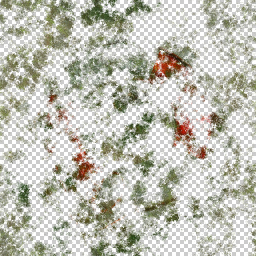 Variation 7