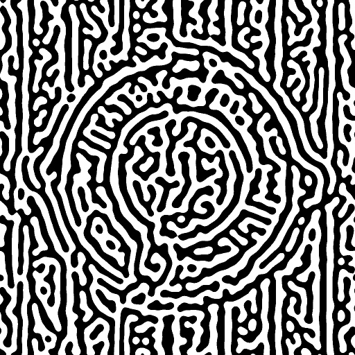 Variation 7