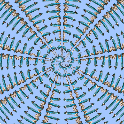 Variation 1