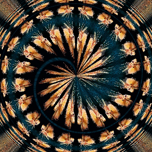 Variation 4