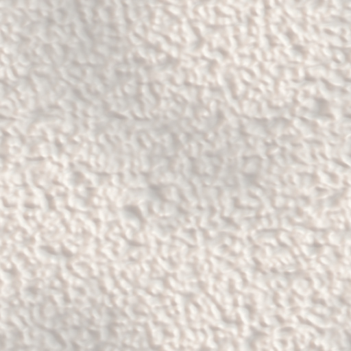 Coy's Rice 4 (Texture)