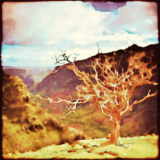 Variation 4