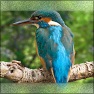 Blend - Frame
