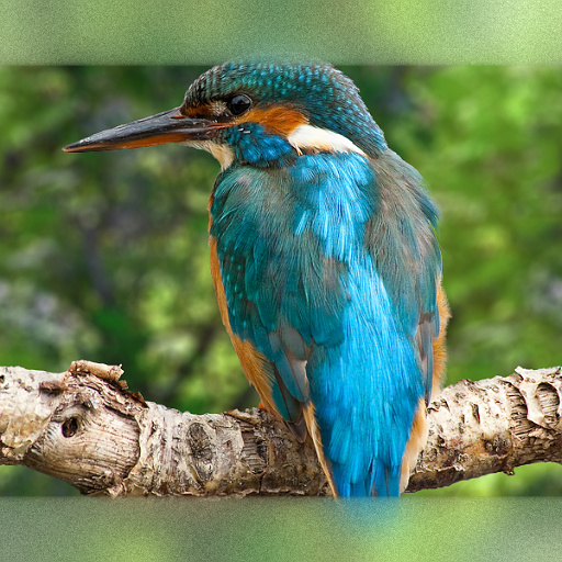 Blend - Frame (Effect)