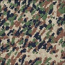 Digital Camouflage