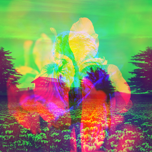 Variation 7