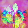 Rainbow Color Injector