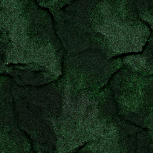 Albedo Map