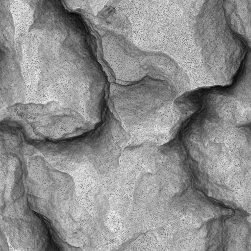 Occlusion Map