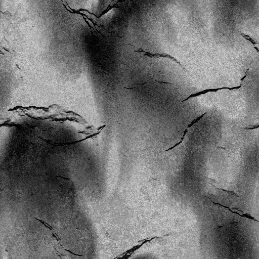 Roughness Map
