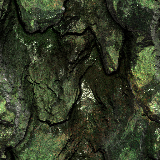 Variation 7
