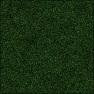 Plant Lab - Carpet Moss