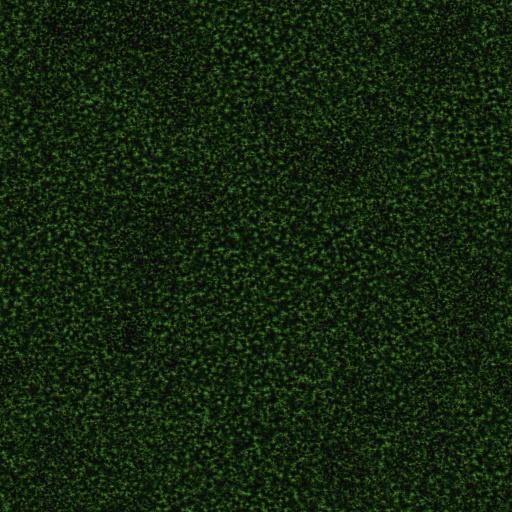 Plant Lab - Carpet Moss (Texture)