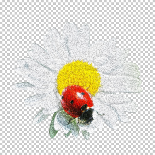 Variation 4