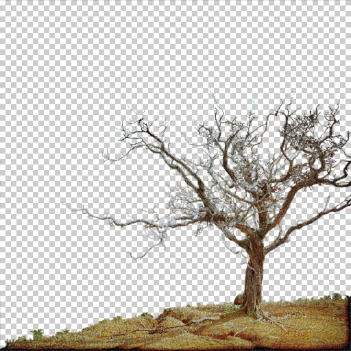 Variation 6