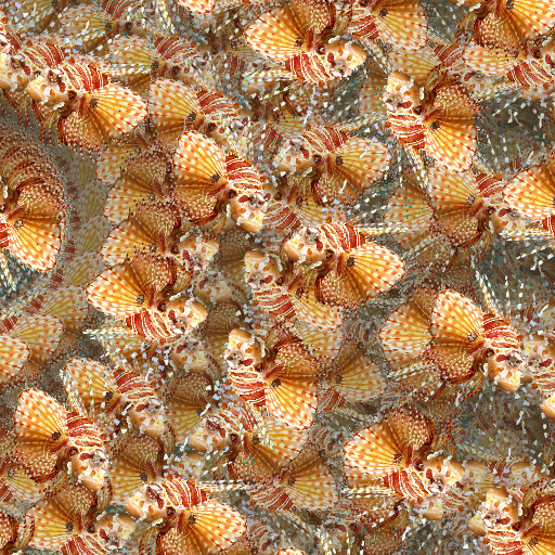 Variation 1