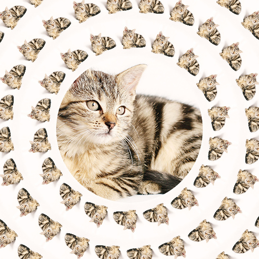 Variation 3