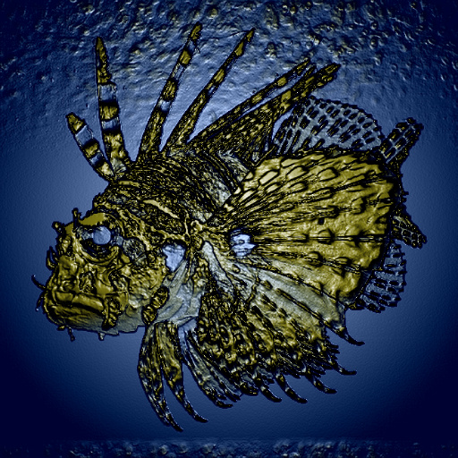 Variation 7
