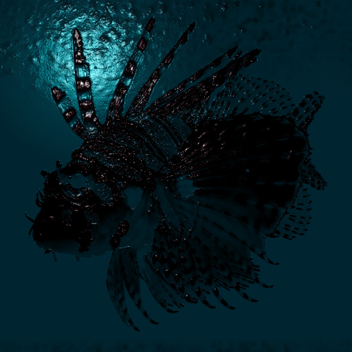 Variation 8