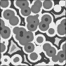 Mordern Bacteria