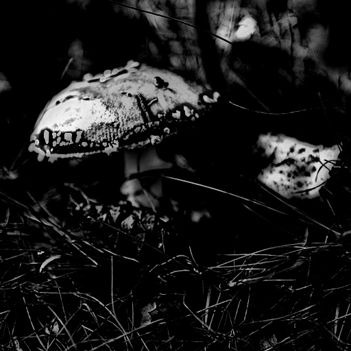 Variation 5