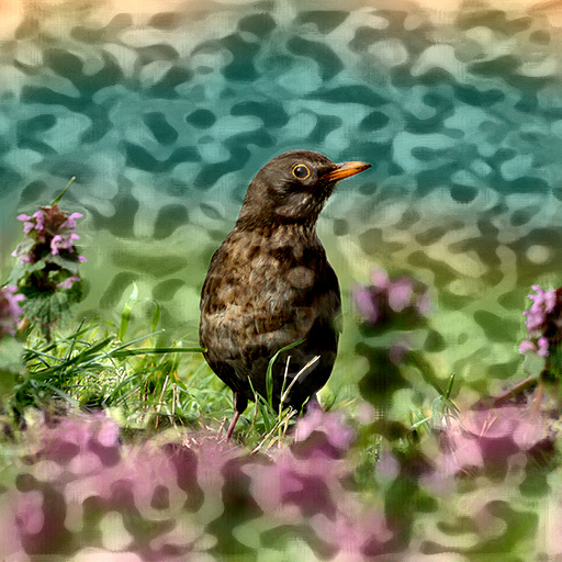 Variation 1