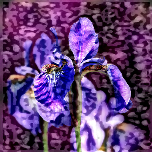 Variation 3