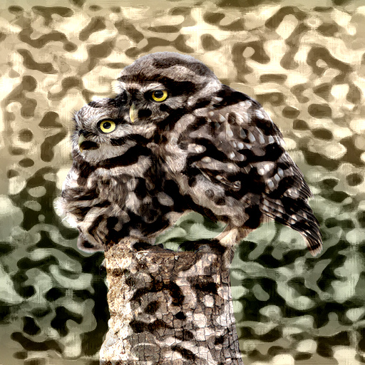 Variation 5