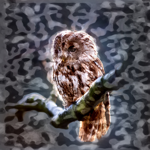 Variation 8