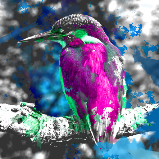 Variation 1