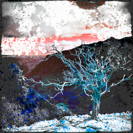 Variation 5