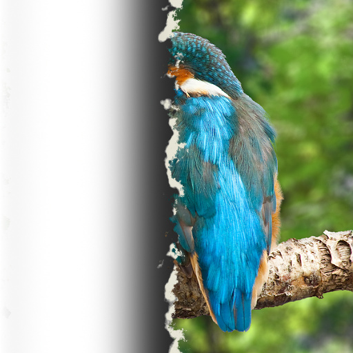 Variation 4