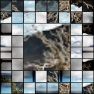 Scrambled Squares