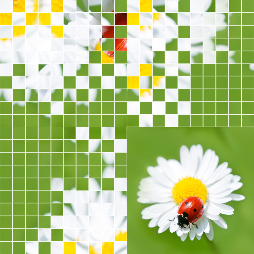 Variation 4