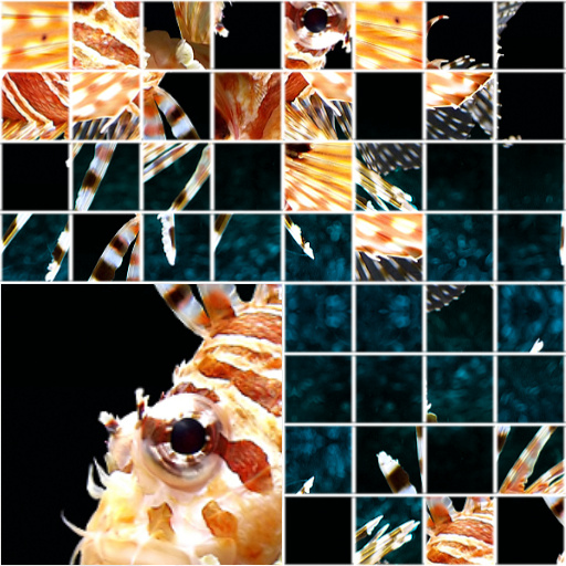 Variation 6
