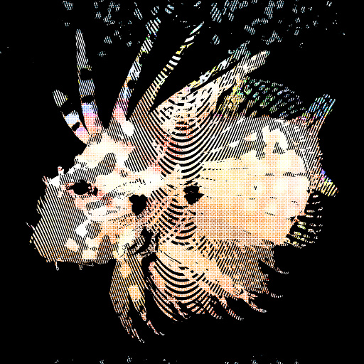 Variation 5