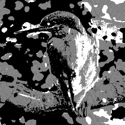 Variation 6