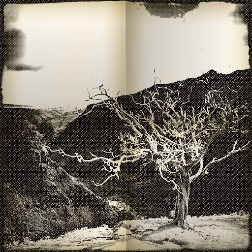 Variation 3