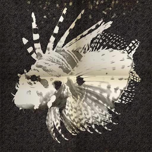 Variation 4
