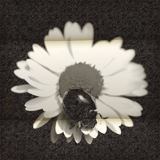Variation 6