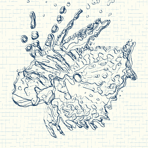 Variation 4